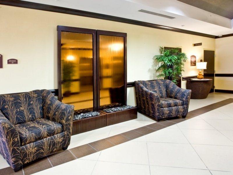 Holiday Inn Express Hotel & Suites Tampa-Usf-Busch Gardens By Ihg Экстерьер фото