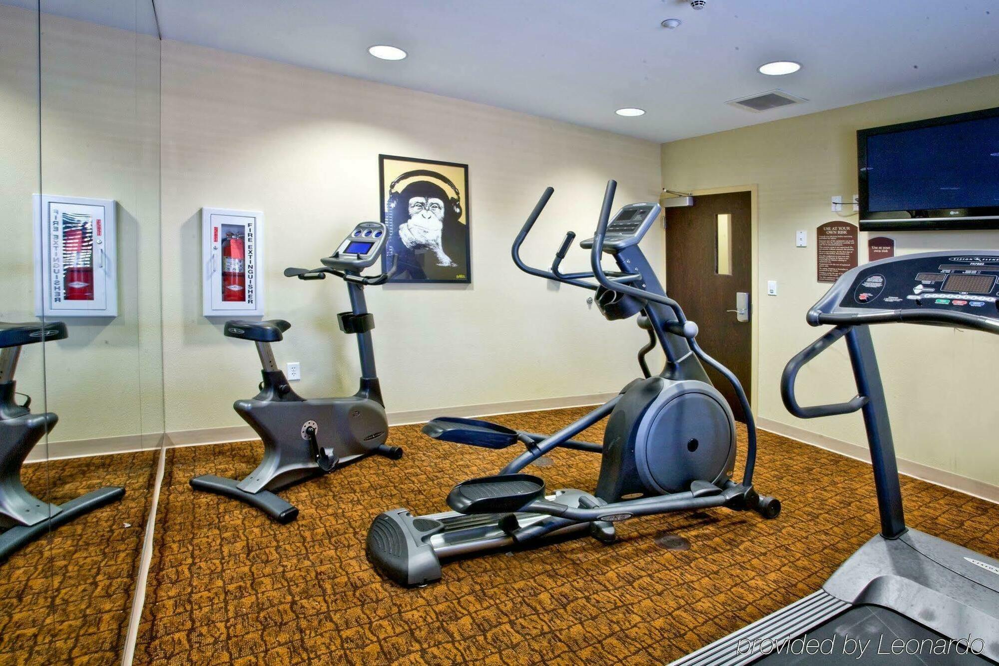 Holiday Inn Express Hotel & Suites Tampa-Usf-Busch Gardens By Ihg Экстерьер фото